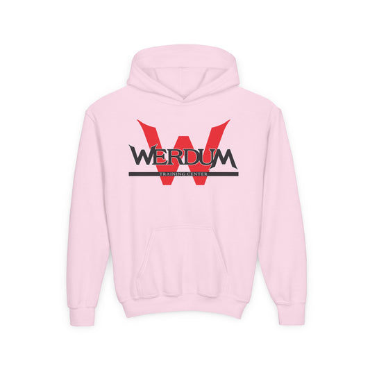 Youth Comfort Soft Hoodie - Werdum Training Center - Nantucket