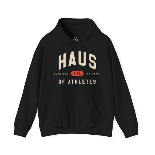 Comfort Soft Hoodie - Haus of Athletes